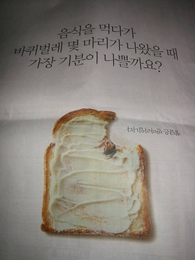 빵 이미지