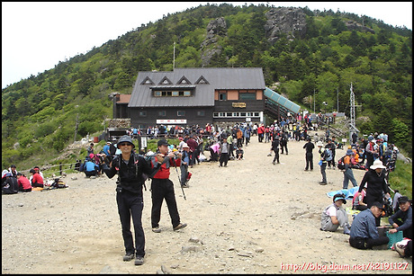 지리산풀잎 이미지