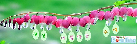 우선진 이미지