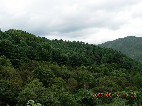 병암민박 이미지