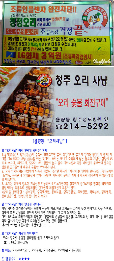 오리사냥 이미지