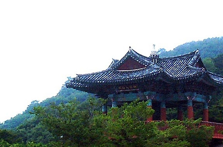 경주남산식품 이미지