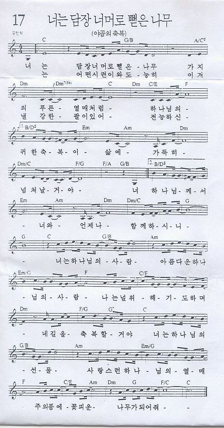 담장너머 이미지