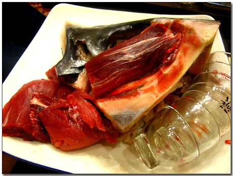 동신참치 이미지