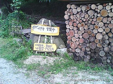 여우가말했다 이미지